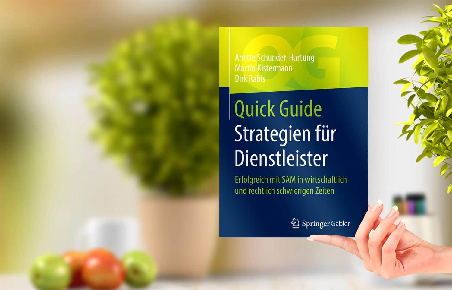 Strategien für Dienstleister. Das Buch. Herausgeber Springer-Verlag. Als eBook und Softcover.